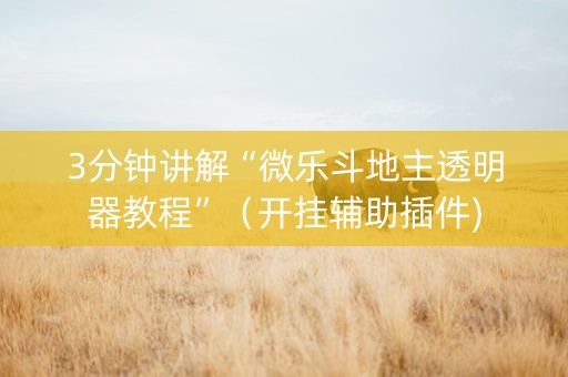 3分钟讲解“微乐斗地主透明器教程”（开挂辅助插件)