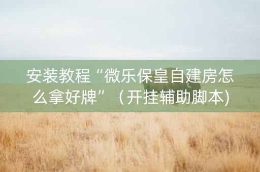 安装教程“微乐保皇自建房怎么拿好牌”（开挂辅助脚本)