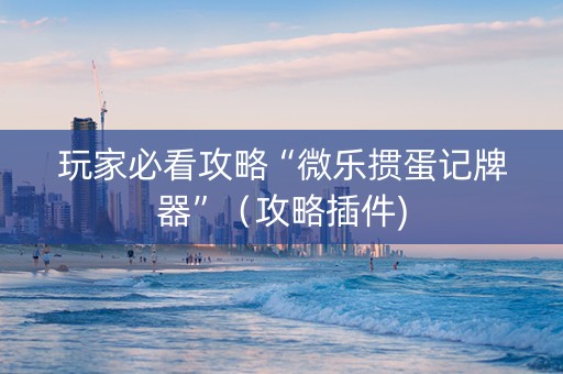 玩家必看攻略“微乐掼蛋记牌器”（攻略插件)