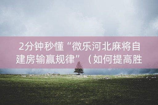 2分钟秒懂“微乐河北麻将自建房输赢规律”（如何提高胜率)