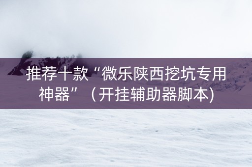 推荐十款“微乐陕西挖坑专用神器”（开挂辅助器脚本)