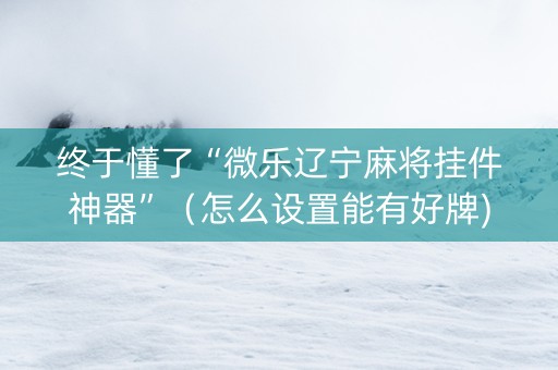 终于懂了“微乐辽宁麻将挂件神器”（怎么设置能有好牌)