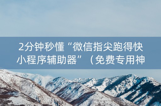 2分钟秒懂“微信指尖跑得快小程序辅助器”（免费专用神器)