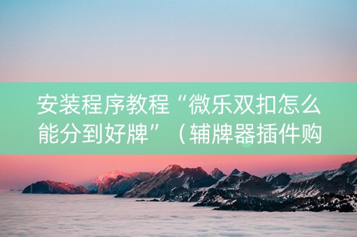 安装程序教程“微乐双扣怎么能分到好牌”（辅牌器插件购买)