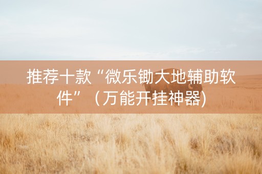 推荐十款“微乐锄大地辅助软件”（万能开挂神器)