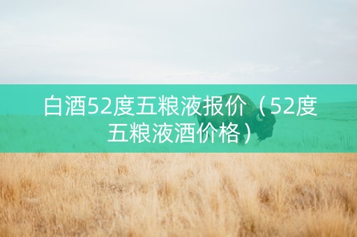 白酒52度五粮液报价（52度五粮液酒价格）