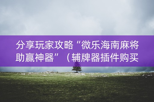 分享玩家攻略“微乐海南麻将助赢神器”（辅牌器插件购买)