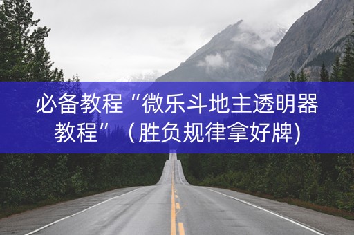 必备教程“微乐斗地主透明器教程”（胜负规律拿好牌)