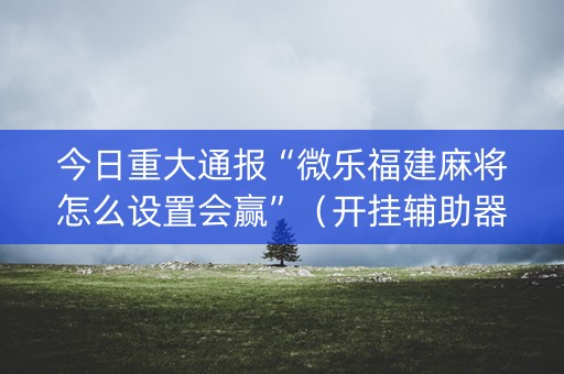 今日重大通报“微乐福建麻将怎么设置会赢”（开挂辅助器脚本)