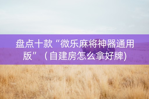 盘点十款“微乐麻将神器通用版”（自建房怎么拿好牌)