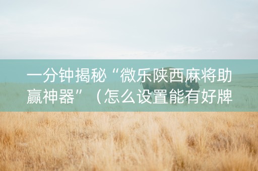 一分钟揭秘“微乐陕西麻将助赢神器”（怎么设置能有好牌)