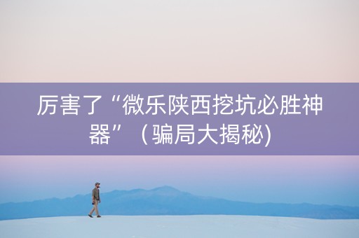 厉害了“微乐陕西挖坑必胜神器”（骗局大揭秘)