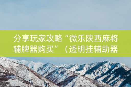 分享玩家攻略“微乐陕西麻将辅牌器购买”（透明挂辅助器)