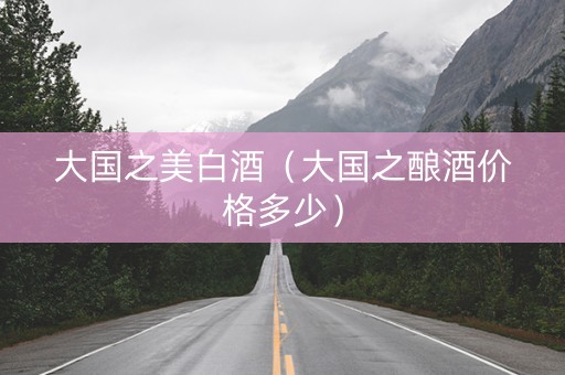 大国之美白酒（大国之酿酒价格多少）