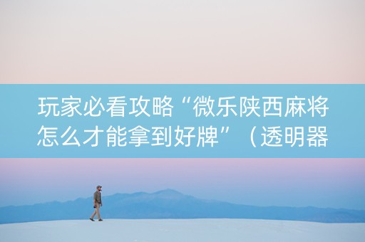 玩家必看攻略“微乐陕西麻将怎么才能拿到好牌”（透明器教程)