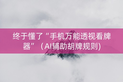 终于懂了“手机万能透视看牌器”（AI辅助胡牌规则)