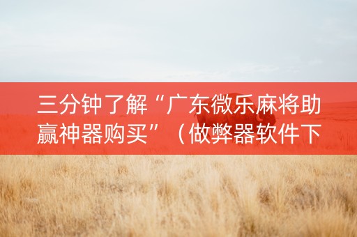 三分钟了解“广东微乐麻将助赢神器购买”（做弊器软件下载)