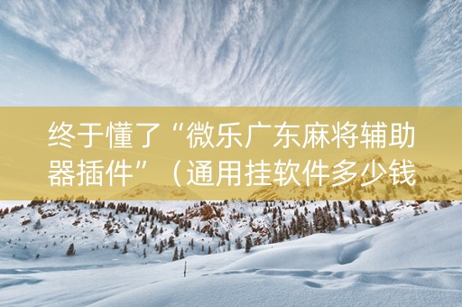 终于懂了“微乐广东麻将辅助器插件”（通用挂软件多少钱)