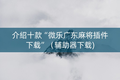 介绍十款“微乐广东麻将插件下载”（辅助器下载)
