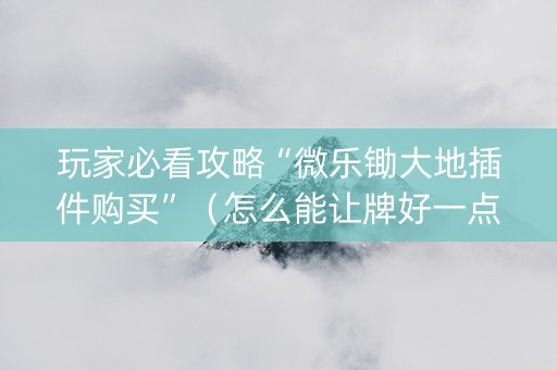 玩家必看攻略“微乐锄大地插件购买”（怎么能让牌好一点)