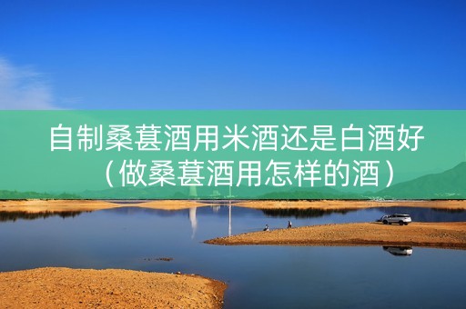 自制桑葚酒用米酒还是白酒好（做桑葚酒用怎样的酒）