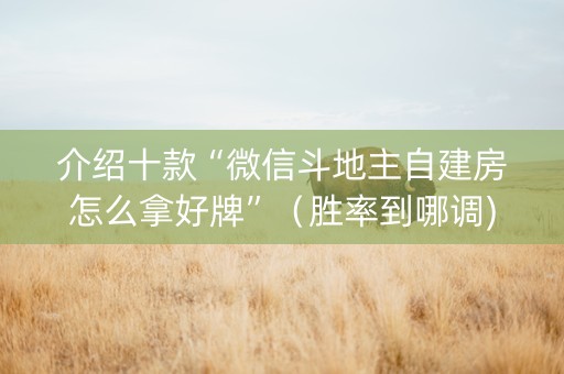 介绍十款“微信斗地主自建房怎么拿好牌”（胜率到哪调)