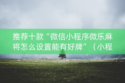推荐十款“微信小程序微乐麻将怎么设置能有好牌”（小程序怎么才会赢)