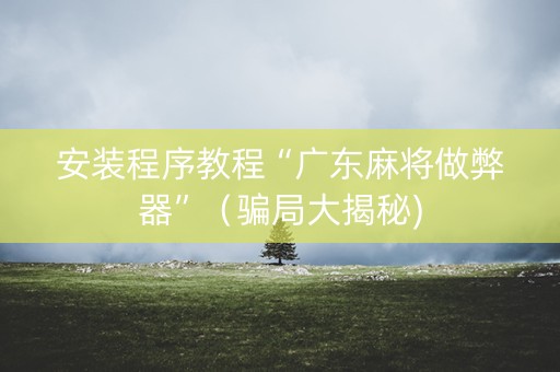 安装程序教程“广东麻将做弊器”（骗局大揭秘)