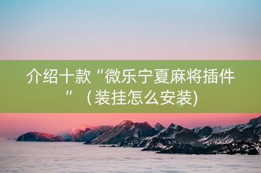 介绍十款“微乐宁夏麻将插件”（装挂怎么安装)