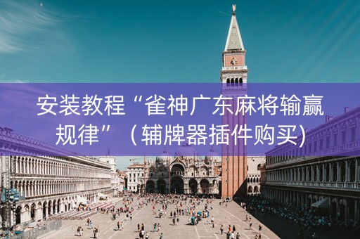 安装教程“雀神广东麻将输赢规律”（辅牌器插件购买)