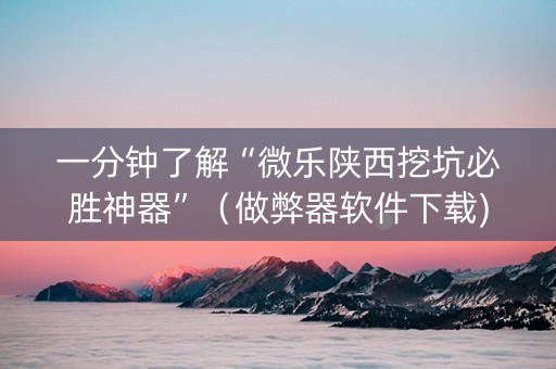 一分钟了解“微乐陕西挖坑必胜神器”（做弊器软件下载)