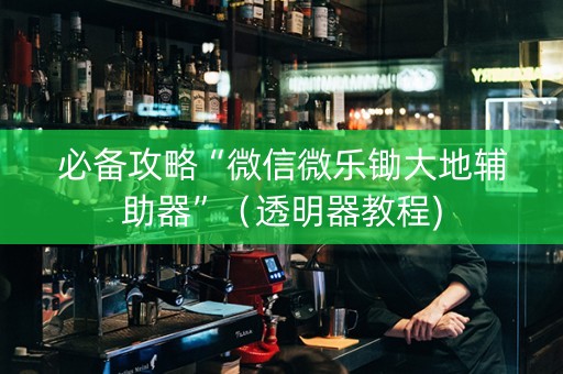 必备攻略“微信微乐锄大地辅助器”（透明器教程)