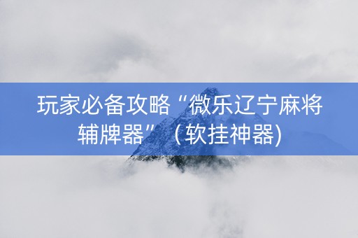 玩家必备攻略“微乐辽宁麻将辅牌器”（软挂神器)