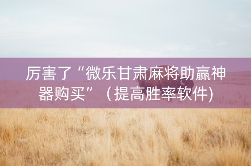 厉害了“微乐甘肃麻将助赢神器购买”（提高胜率软件)