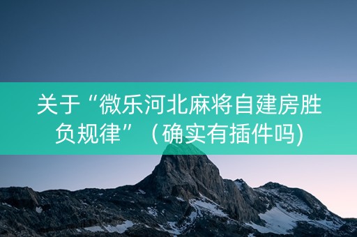 关于“微乐河北麻将自建房胜负规律”（确实有插件吗)