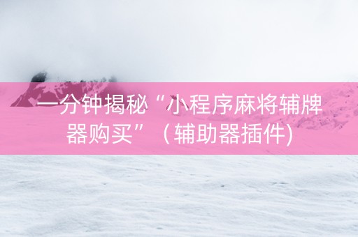 一分钟揭秘“小程序麻将辅牌器购买”（辅助器插件)