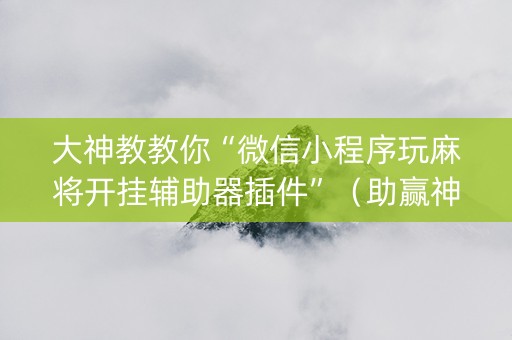 大神教教你“微信小程序玩麻将开挂辅助器插件”（助赢神器购买)