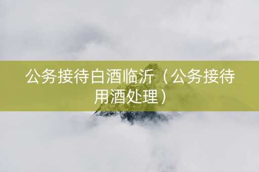 公务接待白酒临沂（公务接待用酒处理）