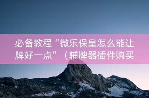 必备教程“微乐保皇怎么能让牌好一点”（辅牌器插件购买)