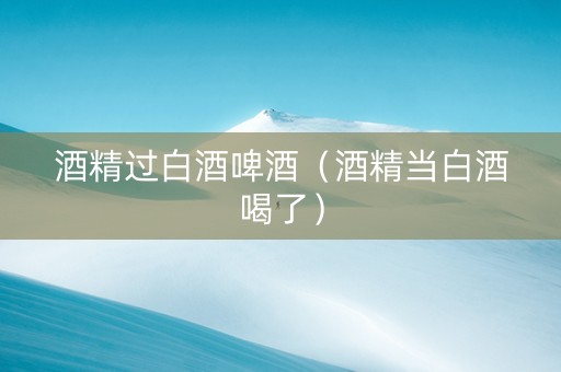 酒精过白酒啤酒（酒精当白酒喝了）