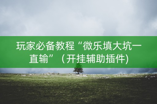 玩家必备教程“微乐填大坑一直输”（开挂辅助插件)