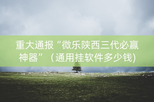重大通报“微乐陕西三代必赢神器”（通用挂软件多少钱)