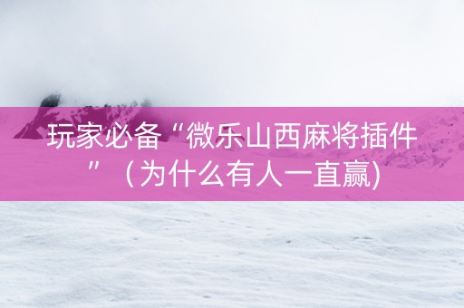 玩家必备“微乐山西麻将插件”（为什么有人一直赢)