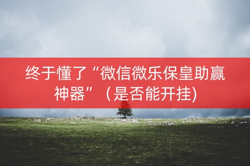 终于懂了“微信微乐保皇助赢神器”（是否能开挂)