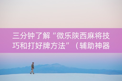 三分钟了解“微乐陕西麻将技巧和打好牌方法”（辅助神器免费)