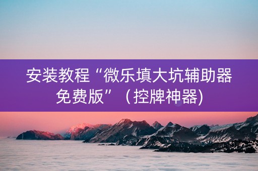 安装教程“微乐填大坑辅助器免费版”（控牌神器)