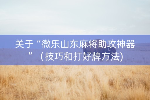 关于“微乐山东麻将助攻神器”（技巧和打好牌方法)