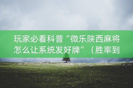 玩家必看科普“微乐陕西麻将怎么让系统发好牌”（胜率到哪调)