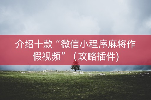 介绍十款“微信小程序麻将作假视频”（攻略插件)
