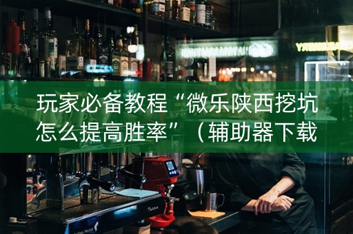 玩家必备教程“微乐陕西挖坑怎么提高胜率”（辅助器下载)